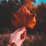 678体育app下载使用指南:轻松享受精彩体育赛事的最佳选择 8kkltkg5