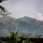 888真人百家乐:如何选择合适的投注策略 9nsscv