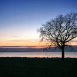 88娱乐:畅享线上线下娱乐活动的完美结合 d096amih