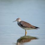 6151彩票网:探索彩票世界的全新平台与机会 kur38mggvt