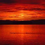 88老虎机的奖金机制解析,助你赢取丰厚奖励 qklqz