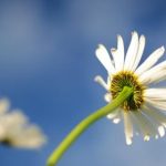 918游戏:安全性与公平性如何保障玩家权益 rcwwcg9