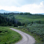 332历史开奖号码完整统计与详细数据分析 4p6b7s