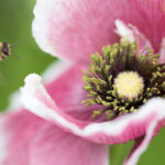 132232期开奖结果最新公布,速看中奖号码详情 81v0cre2q