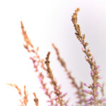 131期开奖直播现场全程高清实况回放 a94886l