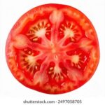 32999开奖直播现场全程高清实况转播 gf5w6