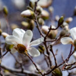 328期开奖号码正式公布结果查询 kijm3bb1