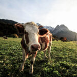 130期开奖结果最新公布,快来看看你中奖了吗? su9ne7ysr7