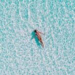 3347财神网开奖结果查询与最新开奖信息公布 wt89uiu